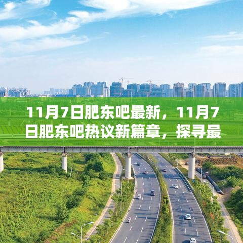 11月7日肥东吧热议新篇章，最新动态与生活点滴探寻