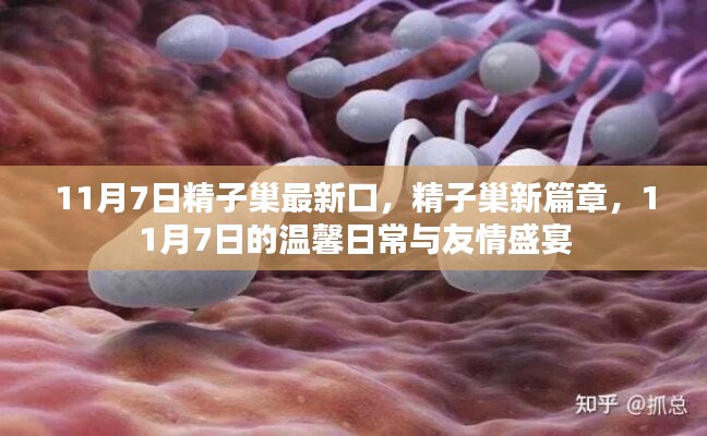 11月7日精子巢新篇章，温馨日常与友情盛宴的见证