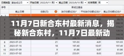 揭秘新合东村，最新动态与消息速递（11月7日更新）