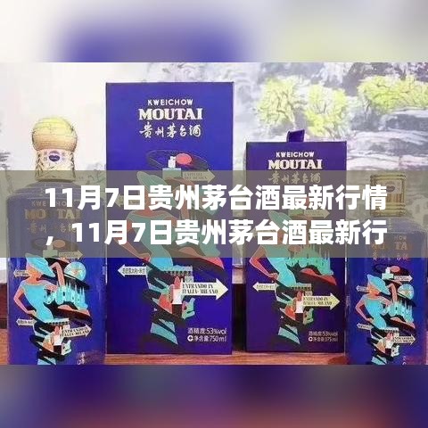 11月7日贵州茅台酒最新行情深度解析，市场走势及影响观点探讨