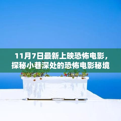 11月7日惊悚恐怖电影探秘，小巷深处的惊悚秘境挑战