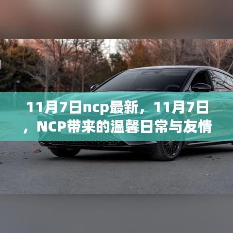 11月7日，NCP下的温馨日常与友情魔法