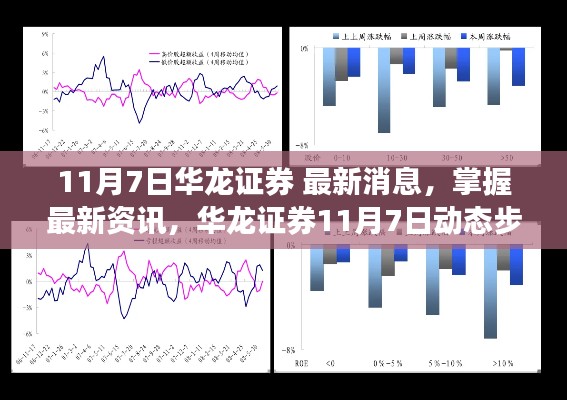 华龙证券最新动态，11月7日资讯与步骤指南