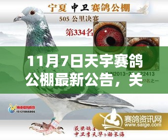 关于最新天宇赛鸽公棚公告的详细介绍，最新公告发布及内容概览