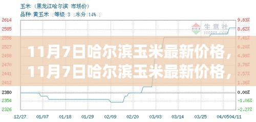 11月7日哈尔滨玉米价格动态，变化中的学习，自信与成就感的源泉