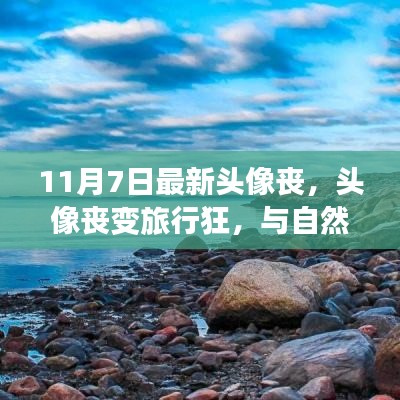 admin 第26页