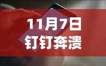 11月7日钉钉崩溃事件深度解析，特性、用户体验及用户洞察