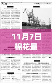 深度解读与全方位评估，11月7日棉花最新政策解析与影响展望