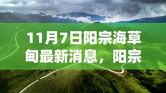 阳宗海草甸最新消息热议，现状、观点深度解析