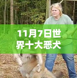 全球十大恶犬最新排名测评与介绍，11月7日更新榜单