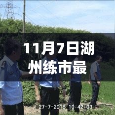 湖州练市最新招工信息汇总，热门职位与就业指南（11月7日）