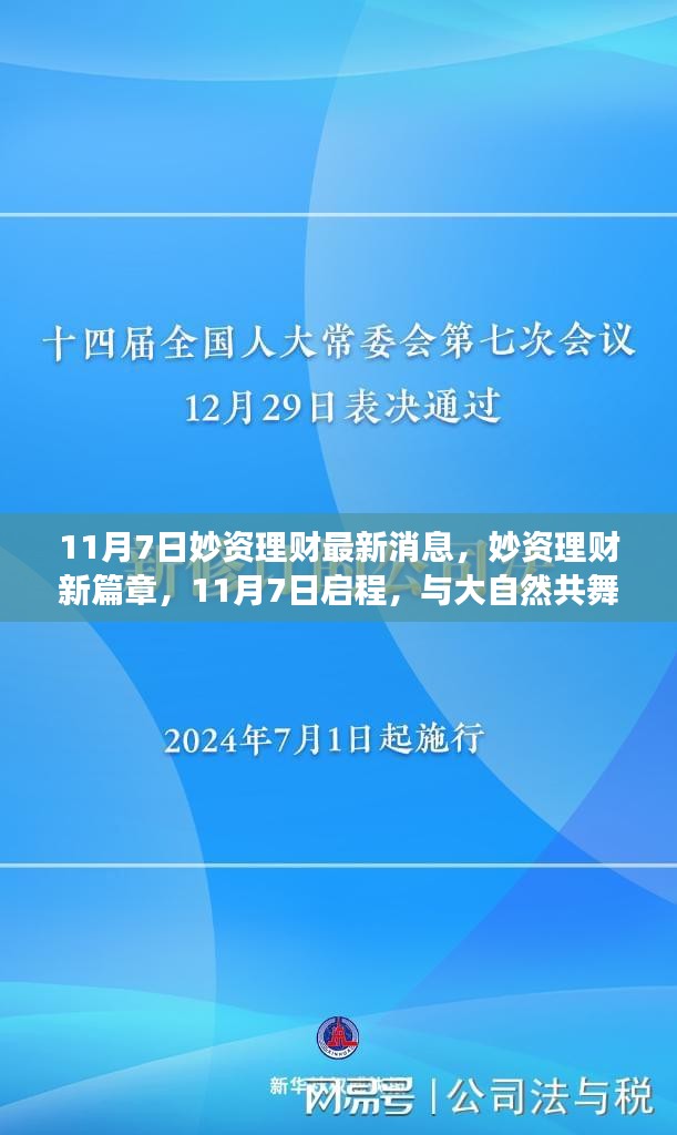 妙资理财新篇章启程，与大自然共舞，探寻内心宁静之旅（11月7日最新消息）