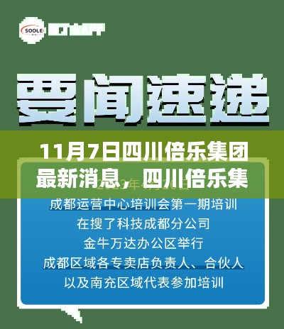 四川倍乐集团发布初学者与进阶用户任务指南，最新消息解析