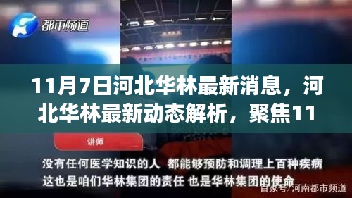 河北华林最新动态解析，聚焦11月7日事件及各方观点热议