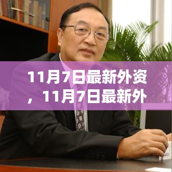 11月7日外资流入最新动态，机遇与挑战并存