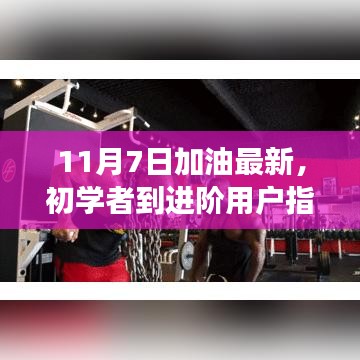 初学者到进阶用户指南，11月7日加油任务与技能提升全面步骤详解