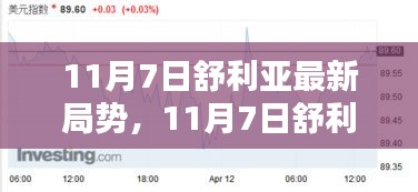 11月7日舒利亚局势深度解析，最新动态与观察分析