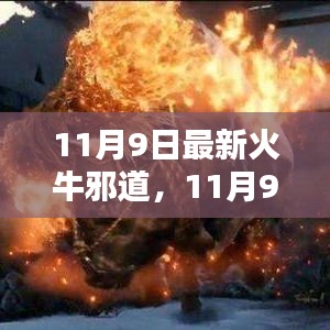 11月9日火牛邪道产品全面评测与介绍，最新资讯一网打尽