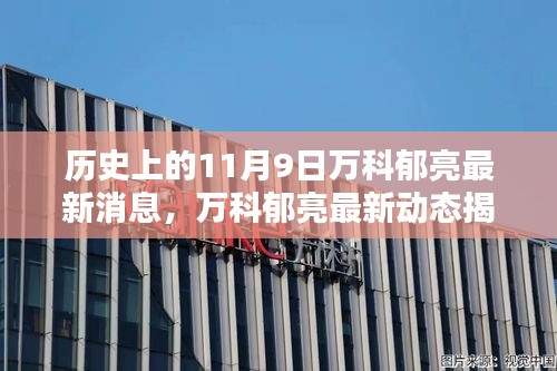 历史上的11月9日，揭秘万科郁亮最新动态与影响