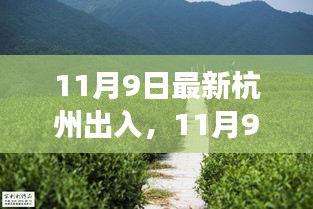 11月9日杭州之行，探寻自然足迹，拥抱内心宁静