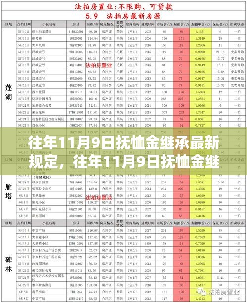 解读往年11月9日抚恤金继承规定，最新政策解析与继承问题探讨