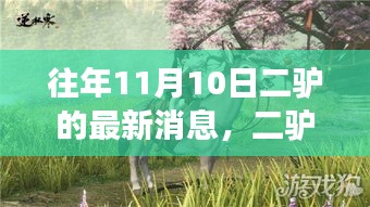 二驴秋日奇遇揭秘，自然美景之旅的最新篇章（往年11月10日最新消息）