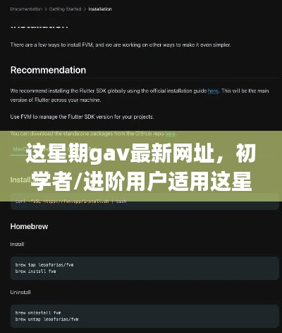 Gav最新网址访问指南，适合初学者与进阶用户的详细步骤指南