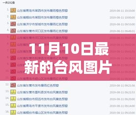 11月10日最新台风图片大全及获取指南，适合初学者与进阶用户