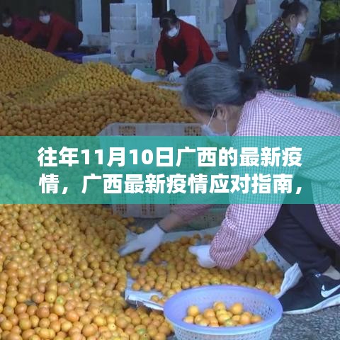 广西历年11月10日疫情回顾与应对指南，了解疫情情况及防疫措施步骤