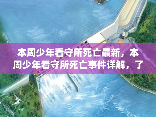 少年看守所死亡事件真相揭秘，最新进展与详解