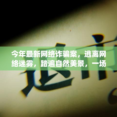 网络迷雾中的启示录，逃离诈骗案的心灵之旅与踏遍自然美景的启示