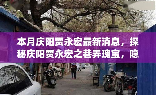 庆阳贾永宏最新动态，巷弄瑰宝探索之旅，小巷特色小店新发现揭秘