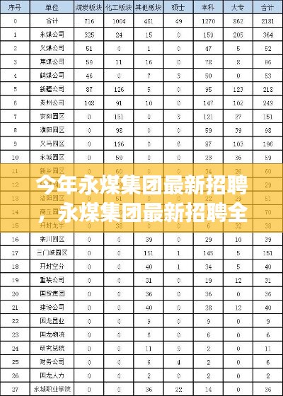 永煤集团最新招聘全面解析，特性、体验、竞争分析与目标用户群体深度探讨