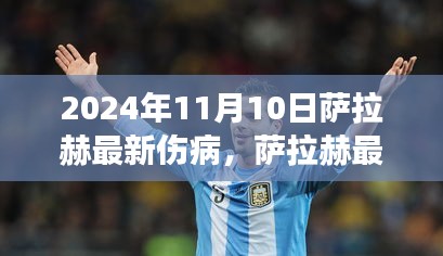 萨拉赫最新伤病更新，健康状况如何？2024年11月10日报告