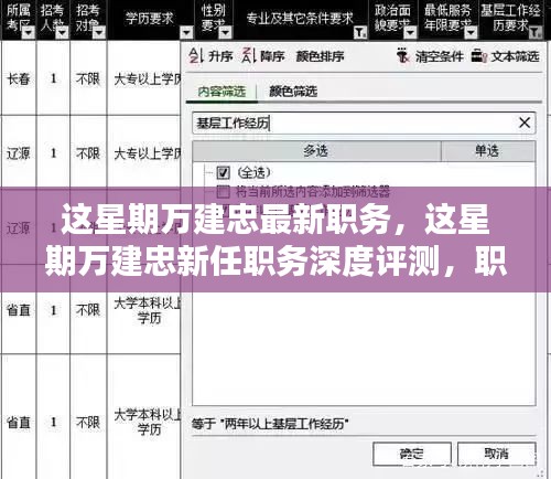 万建忠新任职务深度解析，职责特点、用户体验、竞品对比与目标用户群体分析