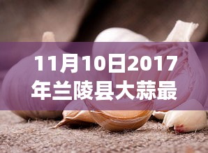 2017年兰陵县大蒜最新价格深度评测与介绍