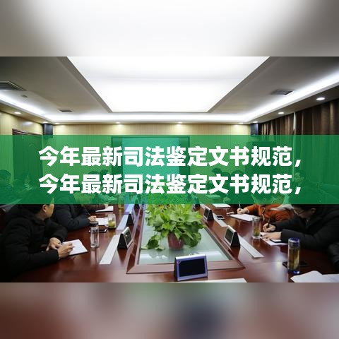 今年最新司法鉴定文书规范，构建公正高效司法体系的关键要素