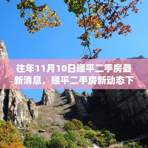 往年11月顺平二手房动态，自然之旅与心灵宁静的拥抱最新消息及动态