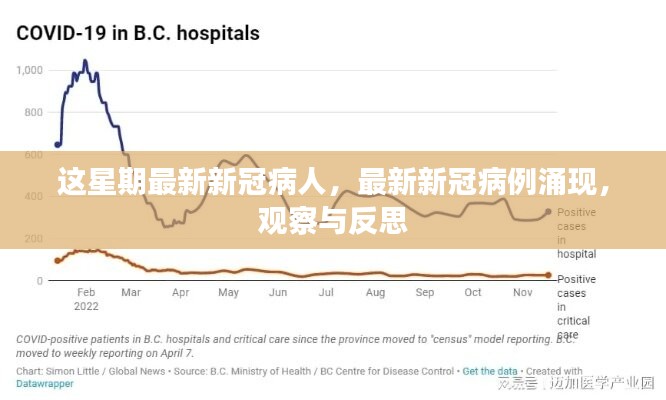 最新新冠病例涌现，观察与反思之际