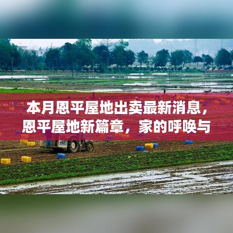 本月恩平屋地出卖最新动态，新篇章开启，家的温馨与友情的呼唤