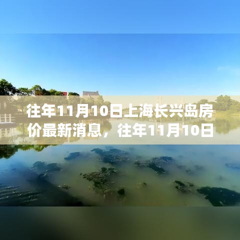 上海长兴岛房价最新动态，多方观点解析与个人立场阐述，历年11月10日回顾分析