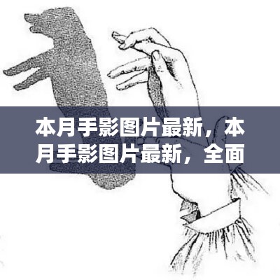 本月手影图片最新，全面评测与详细介绍