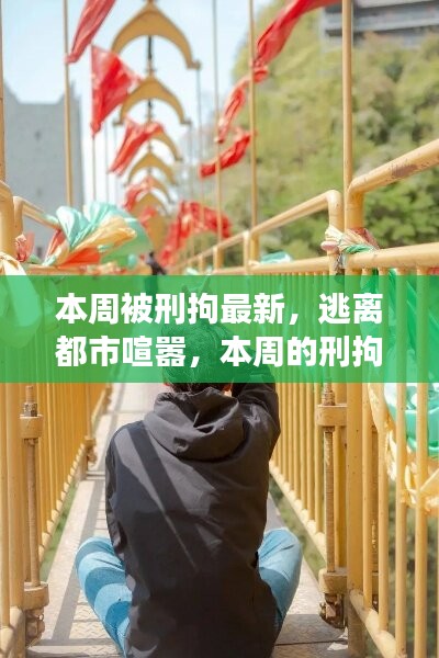 逃离都市喧嚣，本周刑拘时光下的自然美景探寻之旅