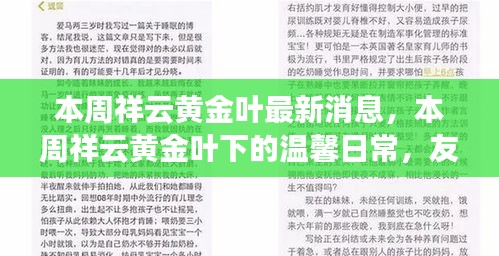 本周祥云黄金叶最新动态，友情、家的温暖与温馨日常的发现