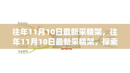 往年11月10日最新采精架，科技与生活融合的新探索