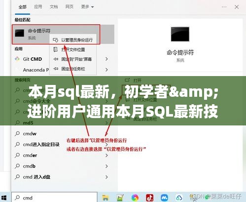 本月SQL最新技能学习，初学者与进阶用户的通用指南