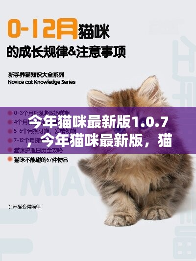 猫咪生活指南最新版1.0.7，带你探索猫咪的世界