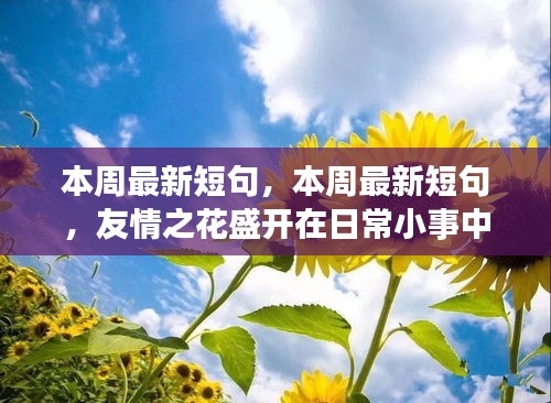 日常小事中的友情之花盛开，本周最新短句汇总