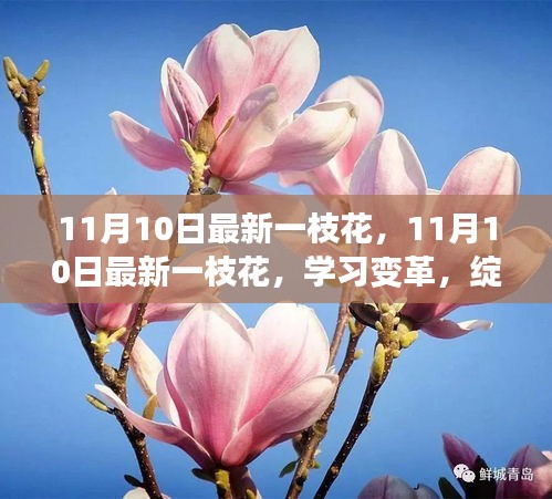 11月10日最新一枝花，学习变革，自信成就之花绽放