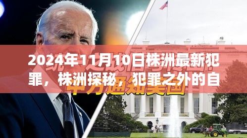 株洲探秘，犯罪背后的自然美景之旅（2024年11月10日最新报道）